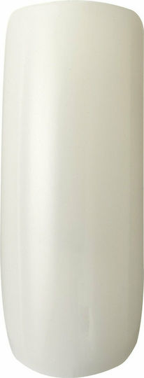 Kiss Salon Natural Go Rogue False Nail Tips in Beige Color 28 Pieces KSN04C