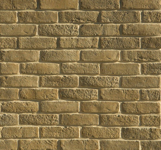 Algostone Algostone Wandverkleidungssteine Ziegelstein 20x5,5cm