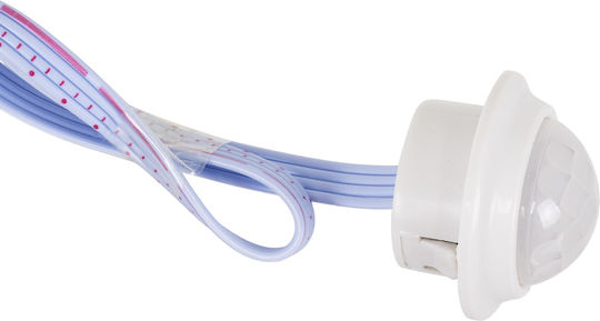 GloboStar Wired Infrared Motion Sensor 360° Detection Angle 6m Scope