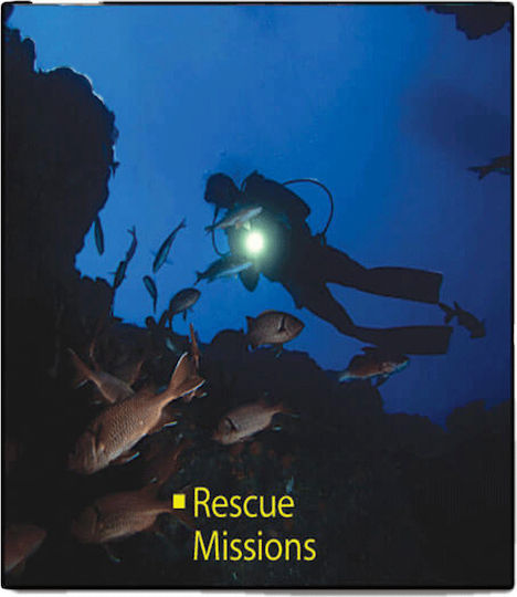 Alpin Rechargeable LED Diving Safety Light with Brightness 240 Lumen for Depth up to 30m