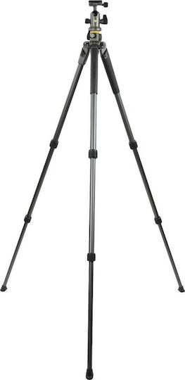 Vanguard Alta Pro 2 + 263AB100 Τρίποδο - Φωτογραφικό Grey