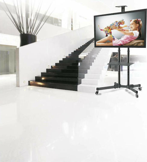 Reflecta TV Stand 70VCE-Shelf Βάση Τηλεόρασης Δαπέδου έως 70" και 50kg