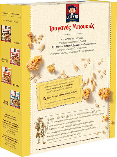 Quaker Γκρανόλα Βρώμης 450gr