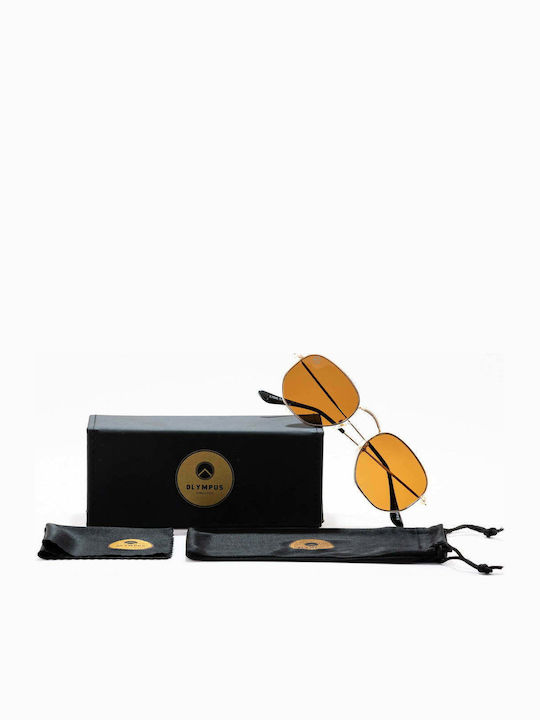 Olympus Sunglasses Jason Unisex Sunglasses with Metal Frame Brown Gold 01-038