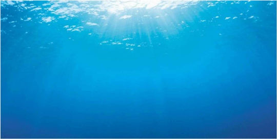 Juwel Double Face Aquarium Decoration Poster 86252