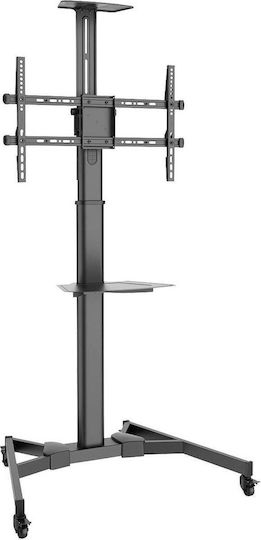 Digitus DA-90370 DA-90370 Fernsehhalterung Boden bis 70" und 50kg