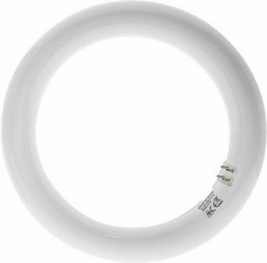 Geyer Geyer Λάμπα LED 20W Τύπου Φθορίου 300mm για Ντουί G10Q και Σχήμα T9 Ψυχρό Λευκό 1900lm