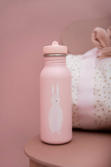 Trixie Sticlă Pentru Copii Din Oțel Inoxidabil Cu Pai Roz 500ml (Diverse Modele/Culori)