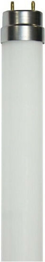 Diolamp LED-Lampe 9W Röhrenform 60εκ. für Fassung G13 und Form T8 Gelb 550lm