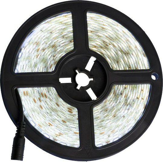 GloboStar Waterproof LED Strip 12V Cold White Light 5m Type SMD5050 with Power Supply & Remote Control