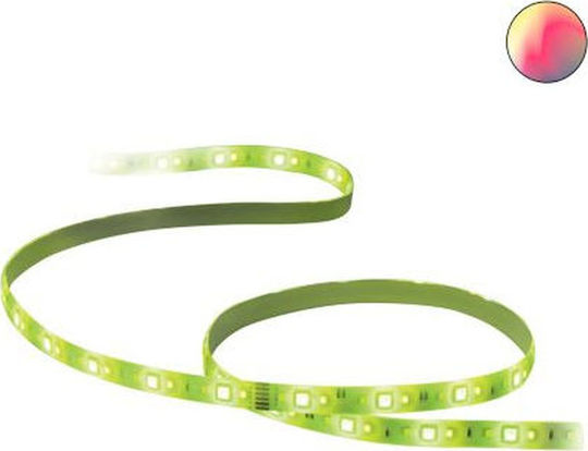 WiZ Smart LED Strip Wiz Starter Kit Wi-Fi 220V RGBW Light 2m with Power Supply