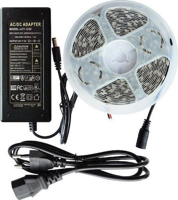 Spot Light LED Streifen Versorgung 12V mit Warmes Weiß Licht Länge 5m und 60 LED pro Meter mit Netzteil SMD5050