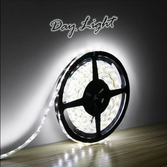 Atman Waterproof LED Strip 12V Natural White Light 5m Type SMD5050