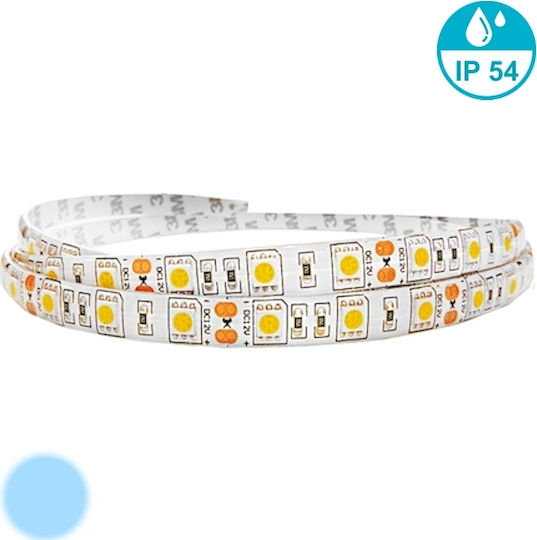 Optonica LED-Streifen 12V Kaltweiß Licht 5m Typ SMD5050