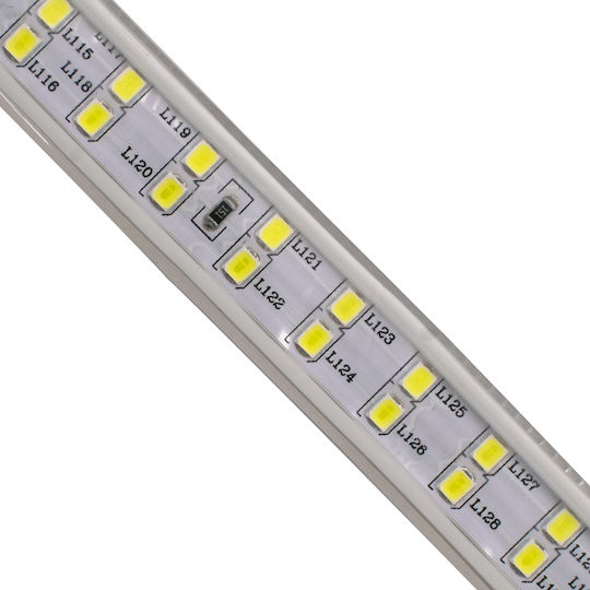 GloboStar Rezistent la apă Bandă LED 220V Alb Rece Lumină 1m Tip SMD2835