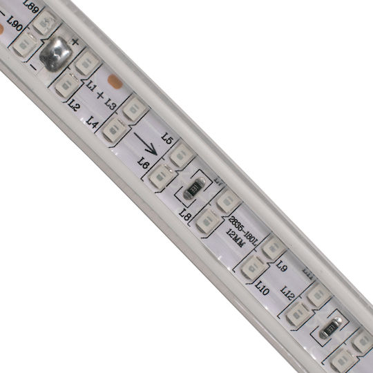GloboStar Waterproof LED Strip 220V Blue Light 1m Type SMD2835
