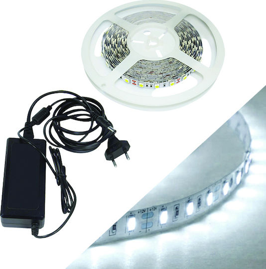 Fos me Rezistent la apă Bandă LED 12V Alb Rece Lumină 5m cu Sursă de alimentare