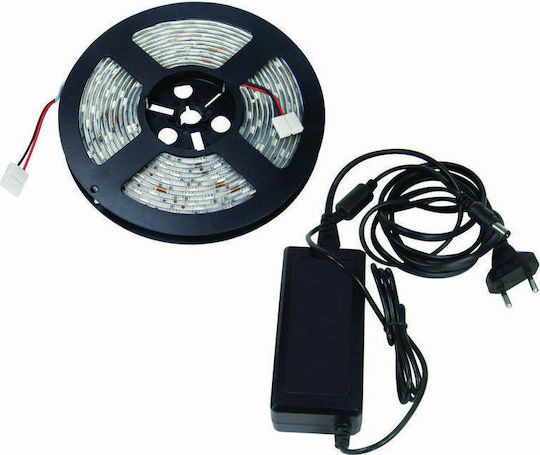 Fos me Ταινία LED 12V Ψυχρό Λευκό Φως 2m με Τροφοδοτικό