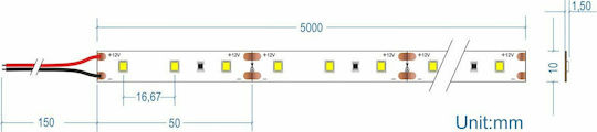 Cubalux Ταινία LED 12V Φυσικό Λευκό Φως 5m Τύπου SMD2835