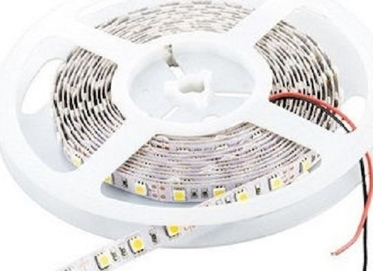 Cubalux Ταινία LED 12V Φυσικό Λευκό Φως 5m Τύπου SMD2835