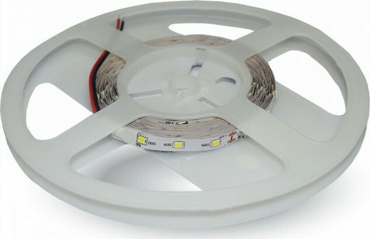 V-TAC Bandă LED 12V Roșu Lumină 5m Tip SMD3528