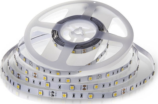 V-TAC LED-Streifen 12V Kaltweiß Licht 5m Typ SMD5050