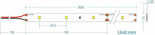 Cubalux Waterproof LED Strip 12V Cold White Light 5m Type SMD2835