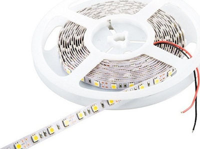 Cubalux Rezistentă la apă Bandă LED Alimentare 24V cu Lumină Alb Rece Lungime 5m și 30 LED-uri pe Metru SMD2835