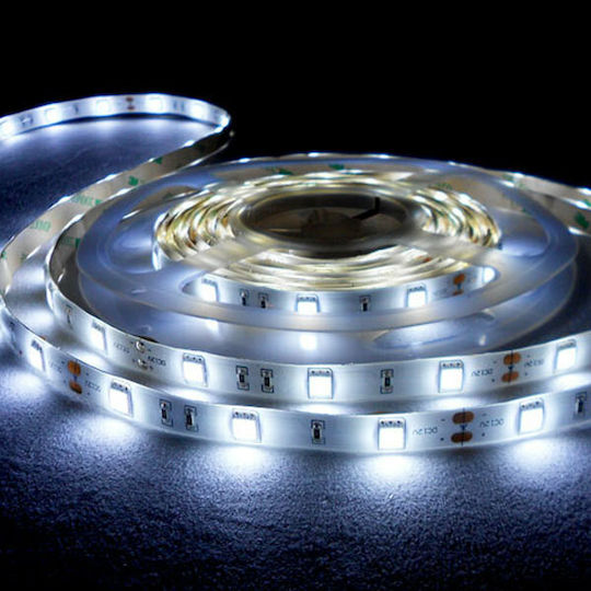 Aca Bandă LED 24V Alb Rece Lumină 5m Tip SMD5050