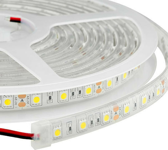 Aca Αδιάβροχη Ταινία LED 24V Ψυχρό Λευκό Φως 1m Τύπου SMD2835