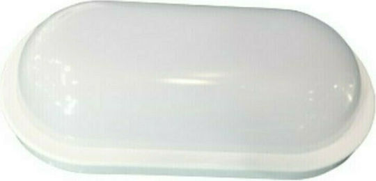 Aca Стенна Външна Костенурка LED IP65 10W с Студено бяло Светлина 15.9x4.4x8.9εκ.