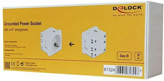 DeLock Μονή Χωνευτή Πρίζα Ρεύματος 45x45mm 10τμχ Λευκή 10τμχ