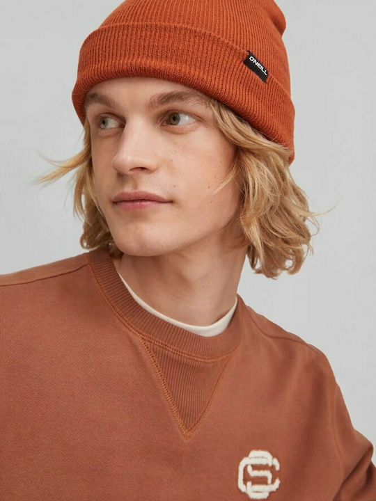 Dolomite Ανδρικός Beanie Σκούφος σε Καφέ χρώμα
