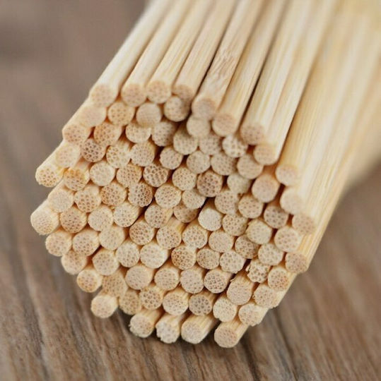 Disposable Barbecue Spit 30cm