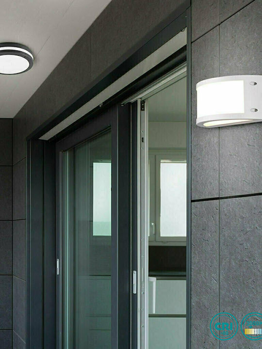 Trio Lighting Kendal Wall-Mounted Outdoor Ceiling Light LED 12W with Warm White Light 24x11εκ.