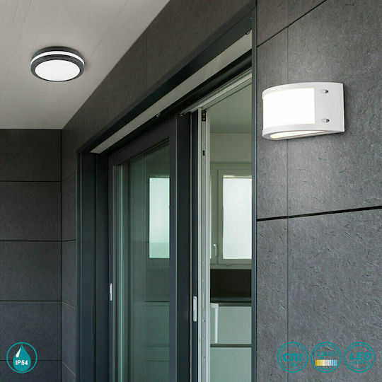 Trio Lighting Kendal Ceiling Lamp LED 12W 3000K 24x11cm Trio Lighting Kendal Ceiling Lamp LED 12W 3000K 24x11cm