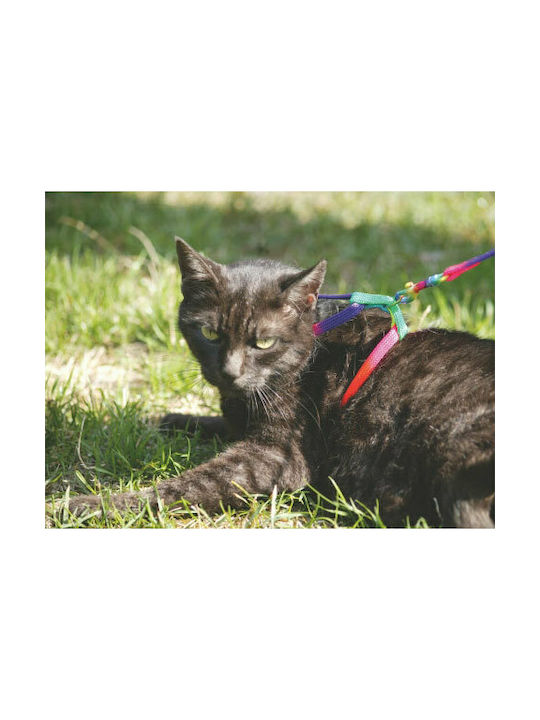 Kerbl Rainbow Harness Set Cat Harness with Guide Rainbow Width 10mm 83191