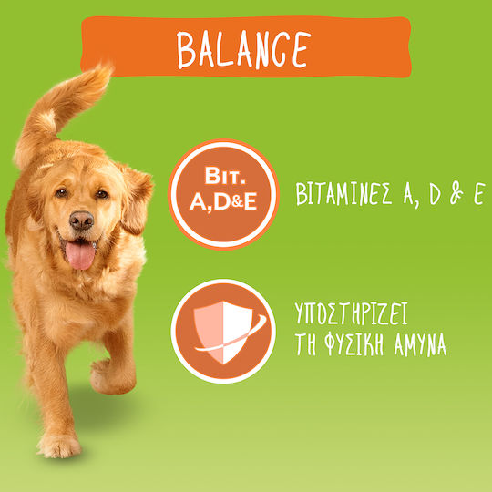 Friskies Friskies Vitafit Balance 4kg Dry Food for Adult Dogs with Chicken
