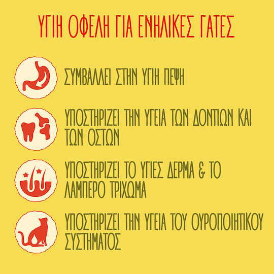 Friskies Adult Ξηρά Τροφή για Ενήλικες Γάτες με Τόνο / Λαχανικά 2kg
