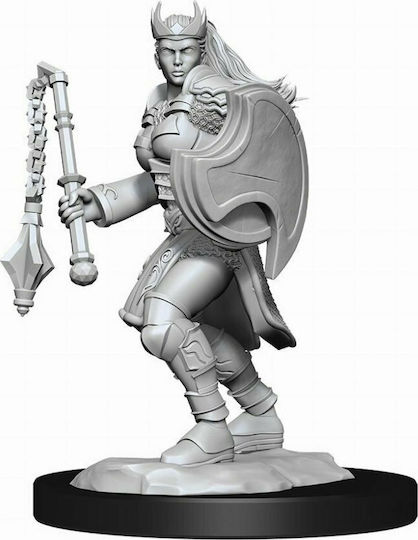 WizKids Dungeons & Dragons Nolzur's Marvelous Miniatures: Kalashtar Cleric Female Figurine nepictate 22280