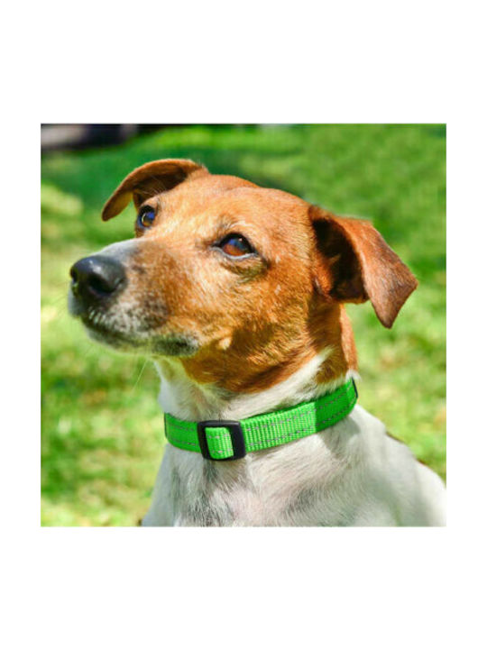 Rogz Utility Dog Collar In Brown Colour Περιλαίμιο LG