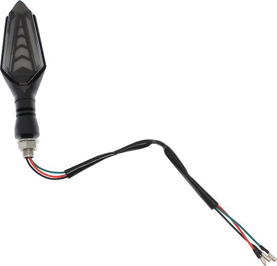 Flash Motorcycle LED 2pcs