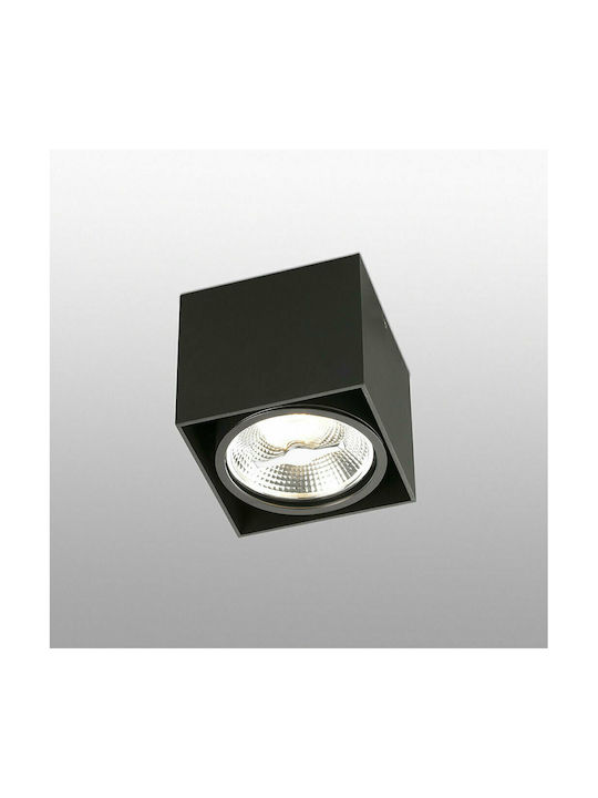 Faro Barcelona Tecto Einzel Spot mit Fassung null in Schwarz Farbe