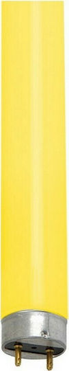 Aca Fluorescent Lamp for Socket G13 with Shape T8 36W