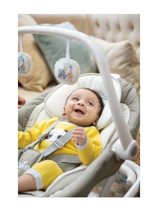Joie Electric Baby Relax Sansa with Music and Vibration Fern for Child up to 9kg