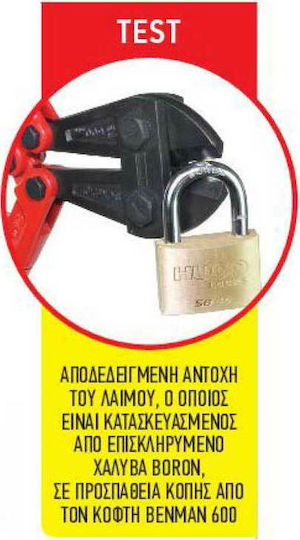 Hugo Locks SB 40 Μπρούτζινο Λουκέτο Πέταλο με Κλειδί 40mm