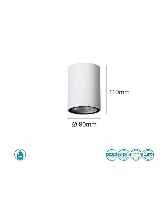 SoleLuce Outdoor Ceiling Flush Mount in White Color 2062160029