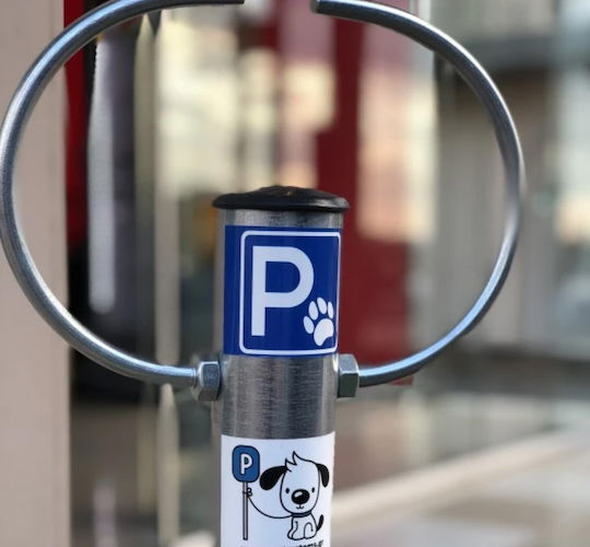 Next Systems Parking-Dog Μπάρα Στάθμευσης 75cm