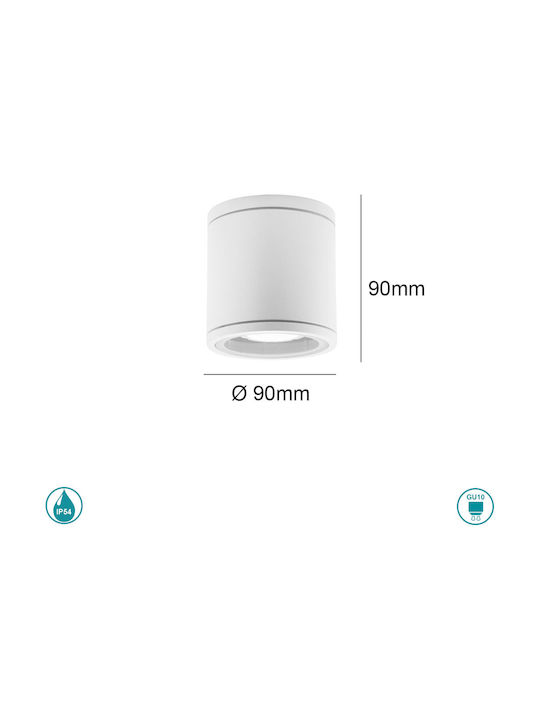 SoleLuce Outdoor Ceiling Flush Mount in White Color 2061600409