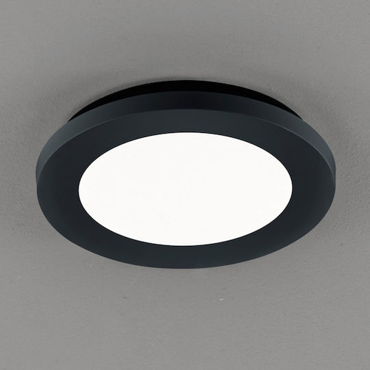 Trio Lighting Camillus Trio Lighting Camillus